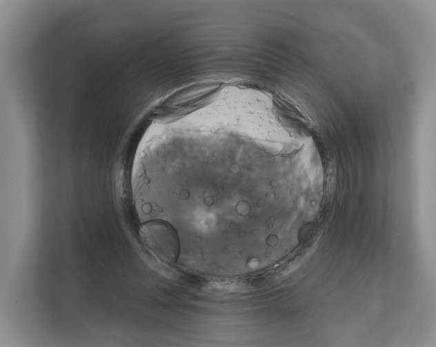 X0000111820351200909031455
