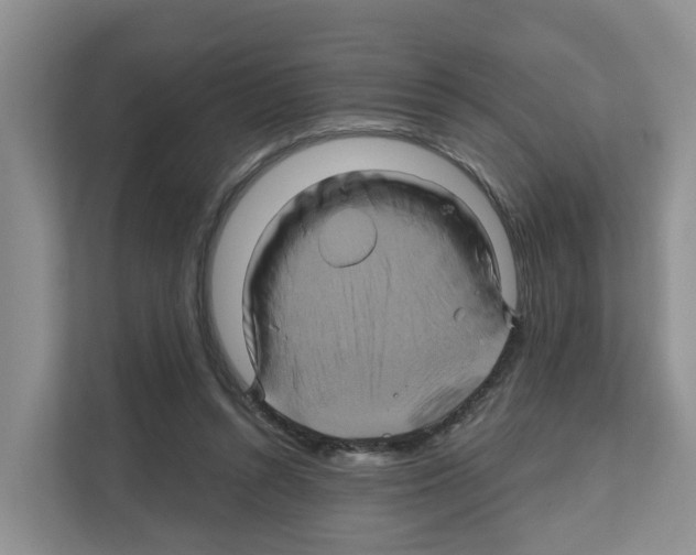 X0000111820352200909031455
