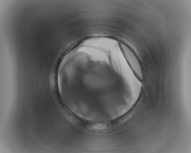 X0000111820353200909031455