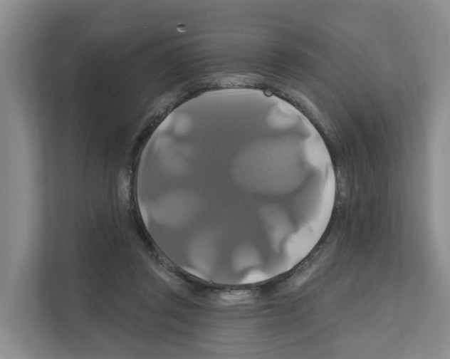 X0000111820357200909031455