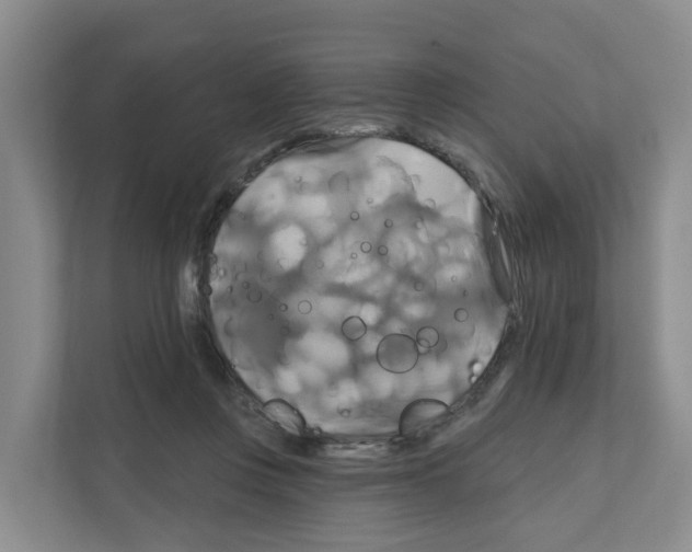 X0000111820359200909031455