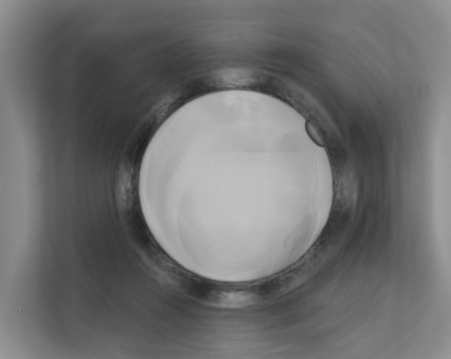 X0000111820360200909031455