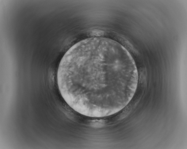 X0000111820363200909031455