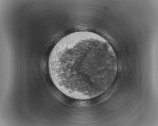 X0000111820365200909031455