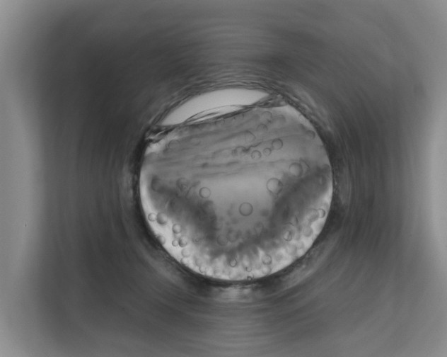 X0000111820366200909031455