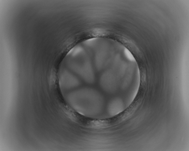 X0000111820367200909031455