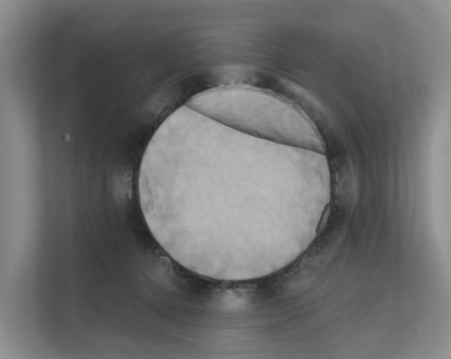 X0000111820368200909031455