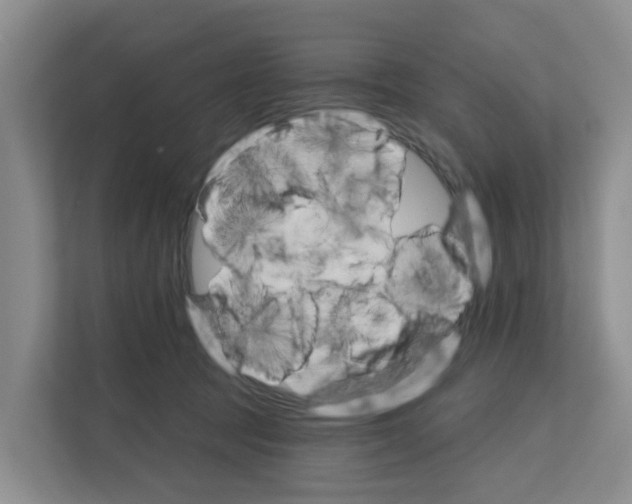 X0000111820369200909031455
