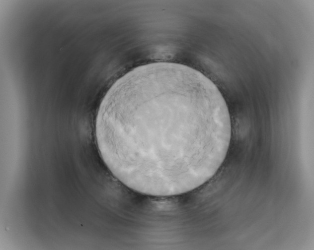 X0000111820370200909031455