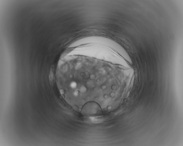 X0000111820371200909031455