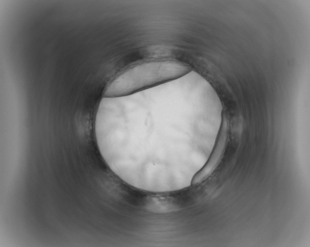 X0000111820372200909031455