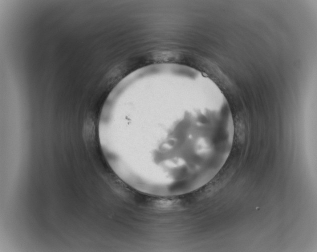 X0000111820375200909031455