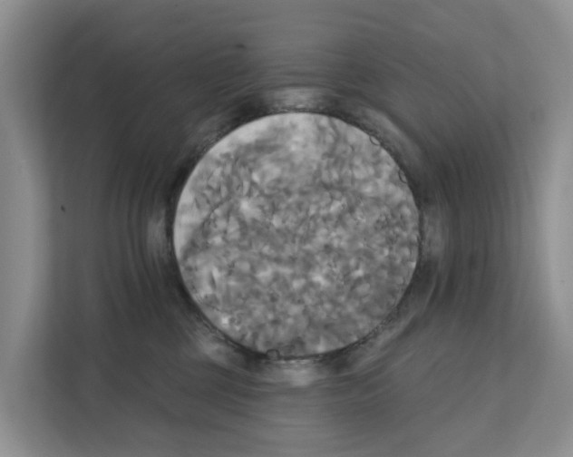 X0000111820377200909031455