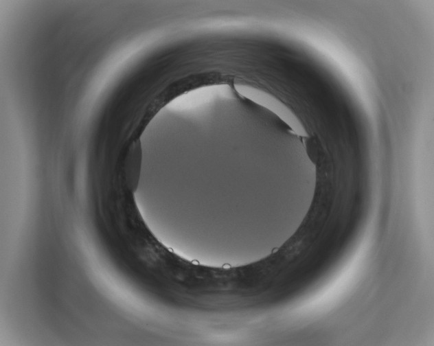 X0000111820382200909031455
