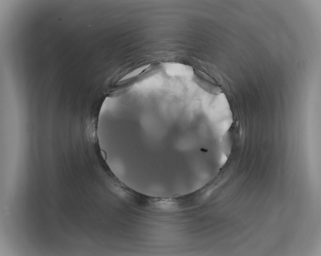 X0000111820383200909031455