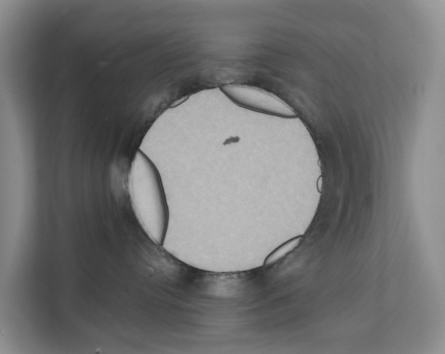 X0000111820384200909031455