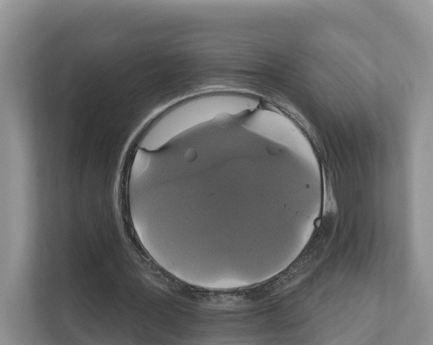 X0000111820387200909031455