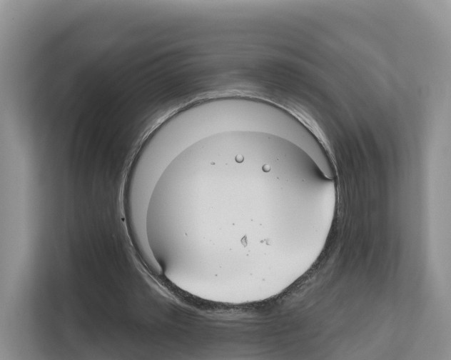 X0000111820389200909031455