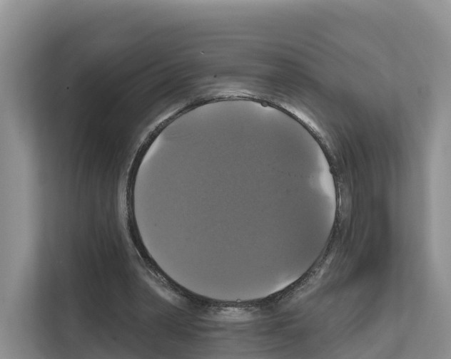 X0000111820390200909031455