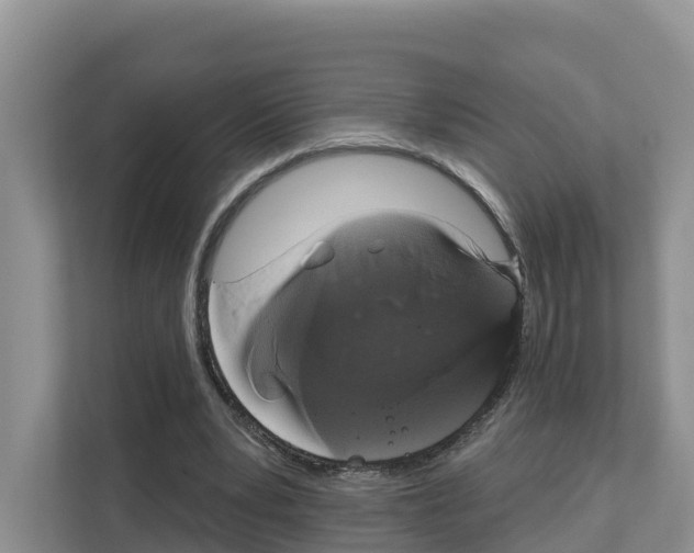 X0000111820391200909031455