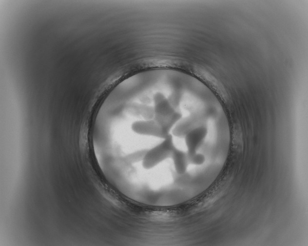 X0000111820394200909031455
