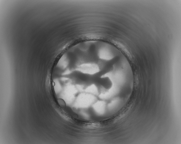 X0000111820398200909031454