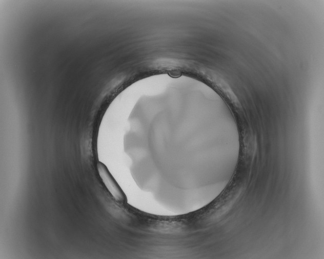 X0000111820399200909031454