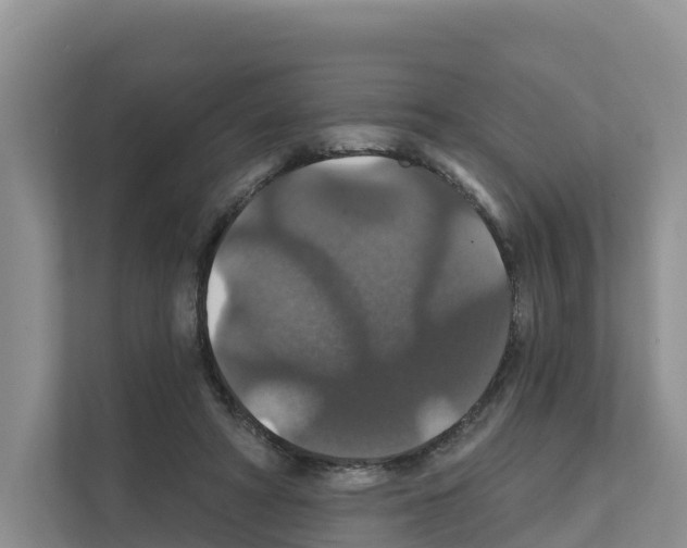 X0000111820402200909031454