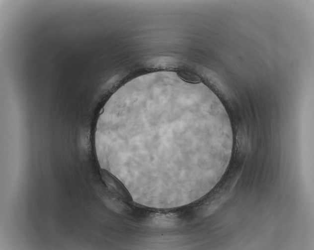 X0000111820403200909031454