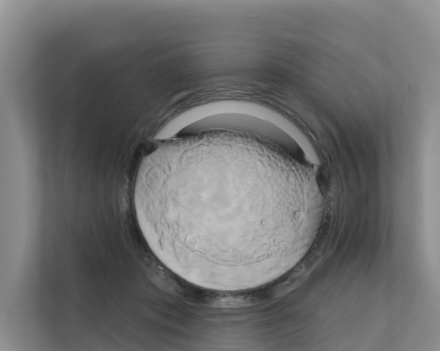 X0000111820413200909031454
