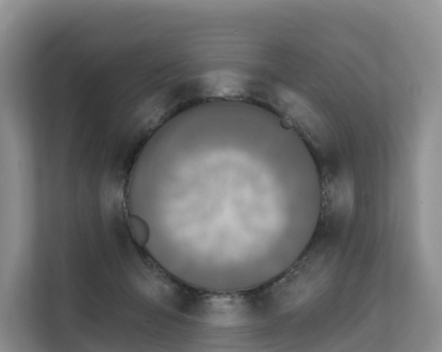 X0000111820415200909031454