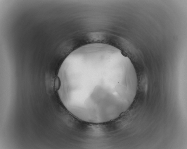 X0000111820417200909031454