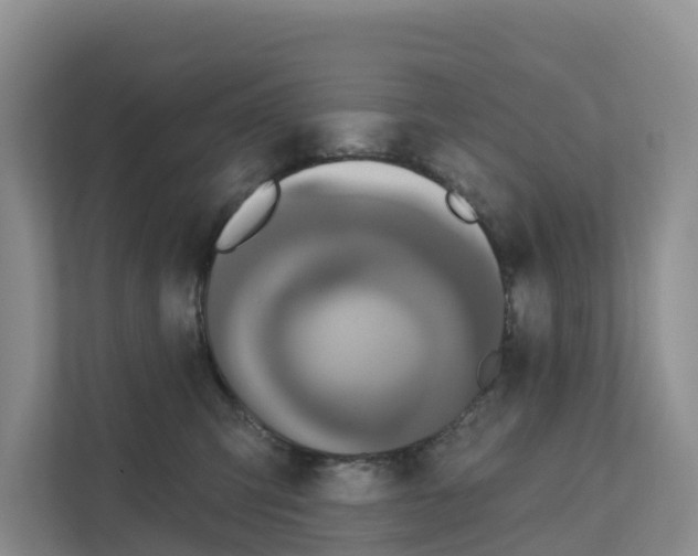 X0000111820423200909031454