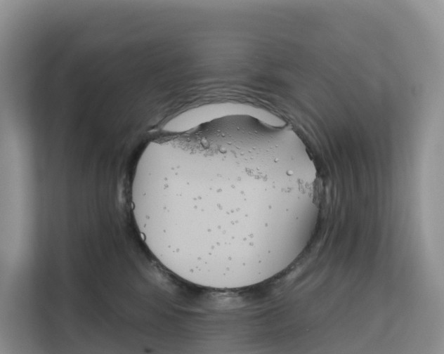 X0000111820424200909031454