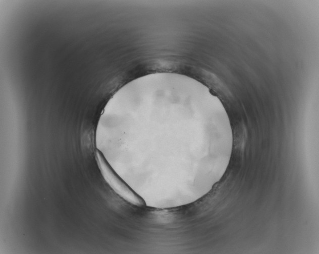X0000111820425200909031454