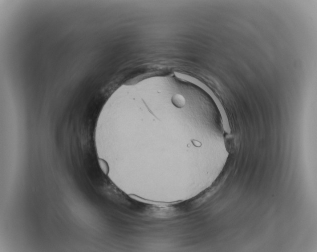 X0000111820429200909031454