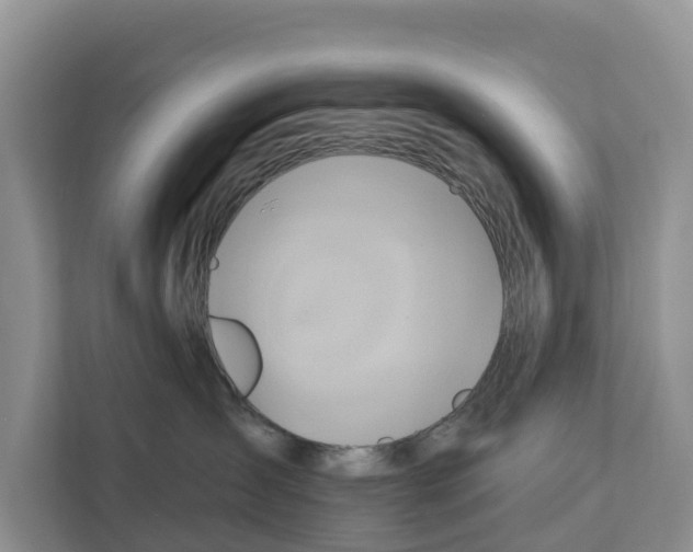 X0000111820431200909031454