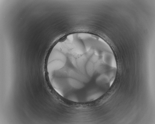 X0000111820434200909031453