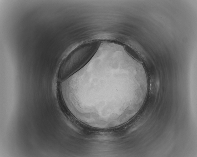 X0000111820436200909031453