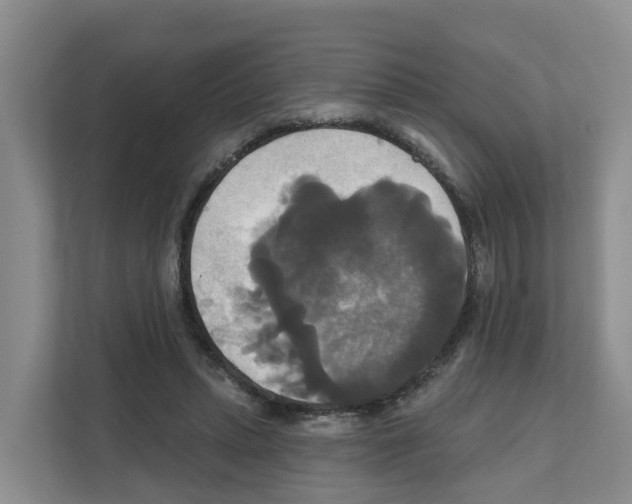 X0000111820447200909031454