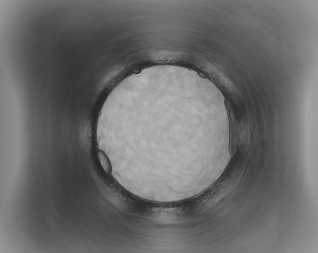 X0000111820448200909031454