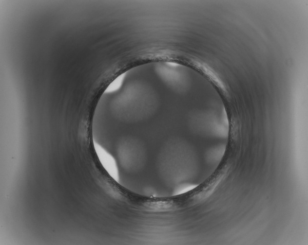 X0000111820449200909031454