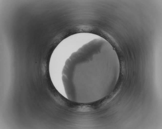 X0000111820451200909031454