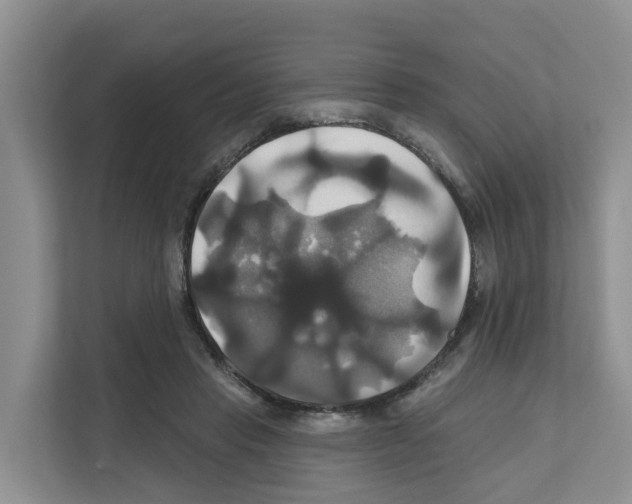 X0000111820453200909031454
