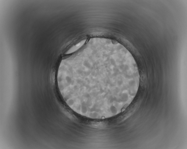 X0000111820454200909031454