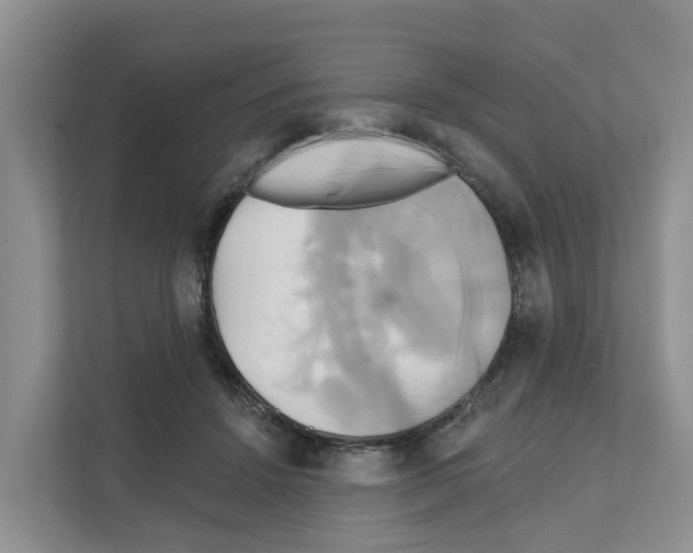 X0000111820456200909031454
