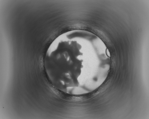 X0000111820457200909031454