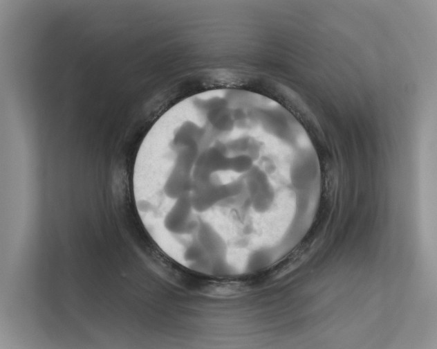 X0000111820459200909031454