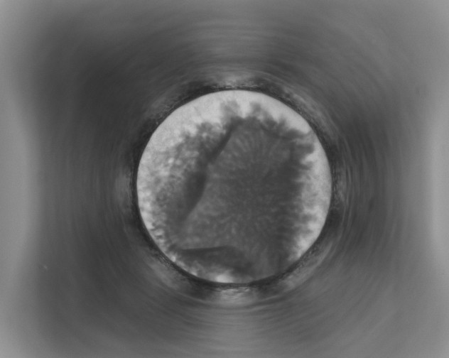 X0000111820461200909031454