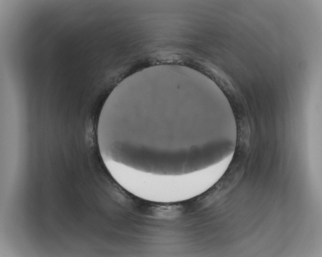 X0000111820465200909031454